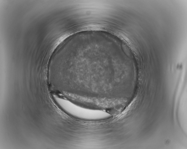 X0000093731081200711131032