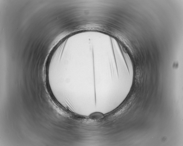 X0000093731082200711131032