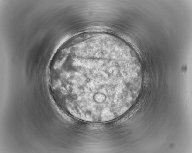 X0000093731083200711131032
