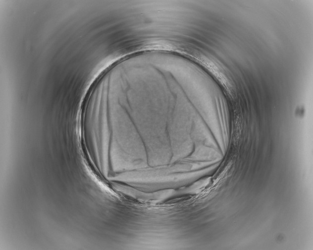 X0000093731084200711131032