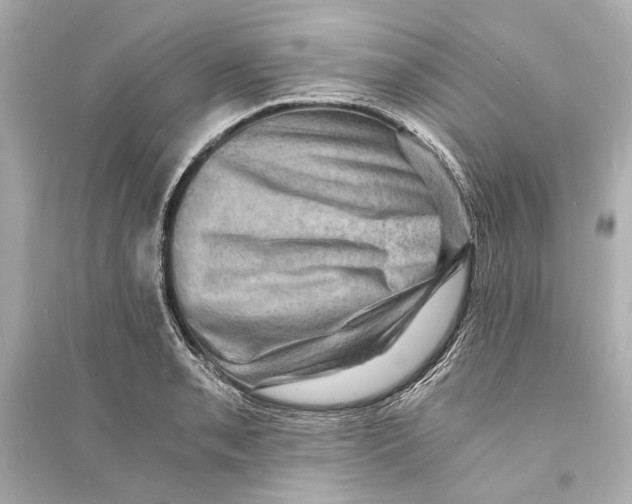 X0000093731085200711131032