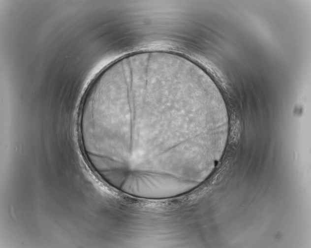 X0000093731086200711131032