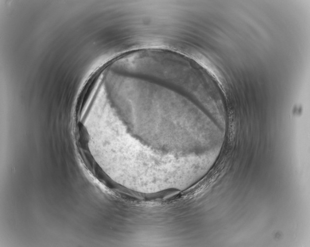 X0000093731088200711131032