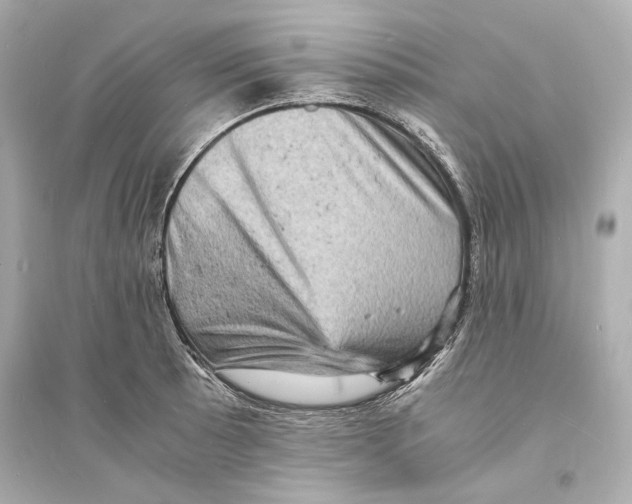 X0000093731089200711131032