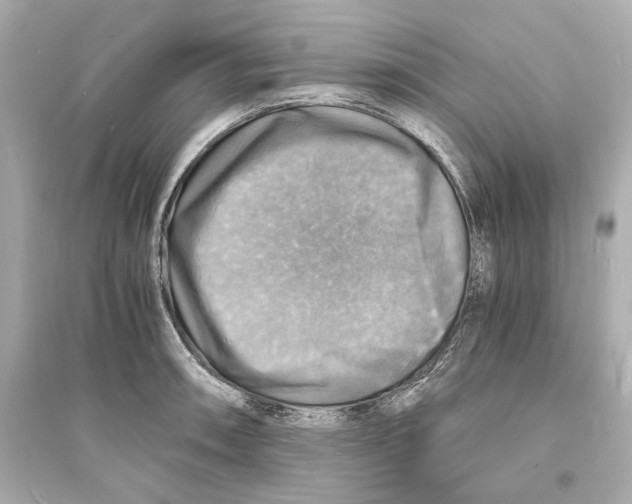 X0000093731090200711131032