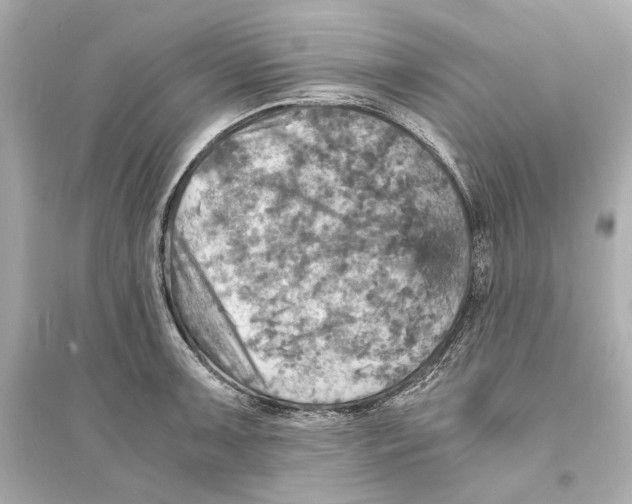 X0000093731091200711131032