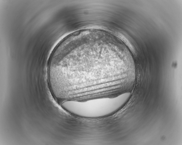 X0000093731092200711131032