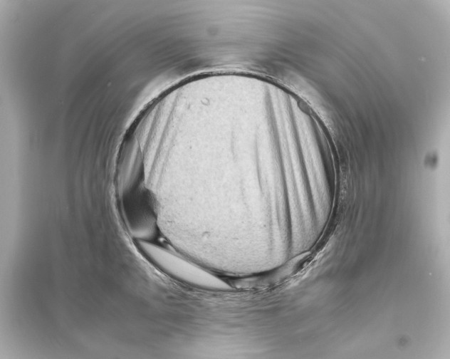 X0000093731093200711131032