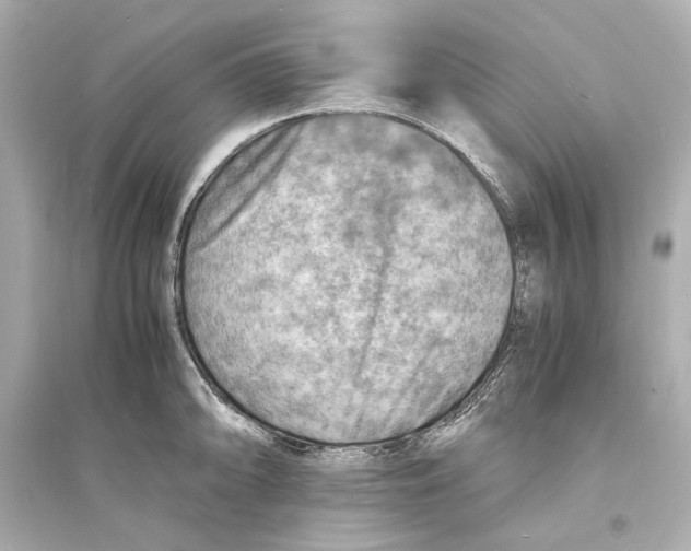 X0000093731094200711131032