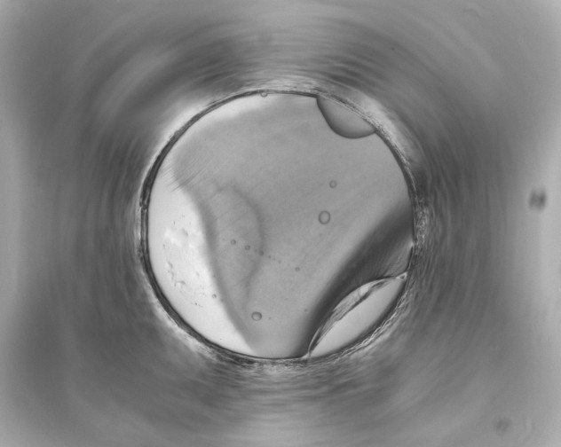 X0000093731095200711131032