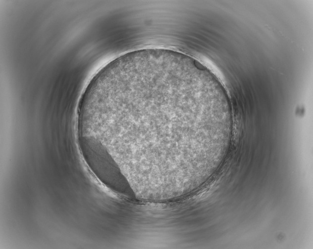 X0000093731096200711131032