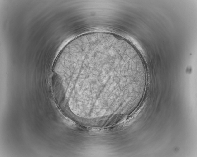 X0000093731097200711131032