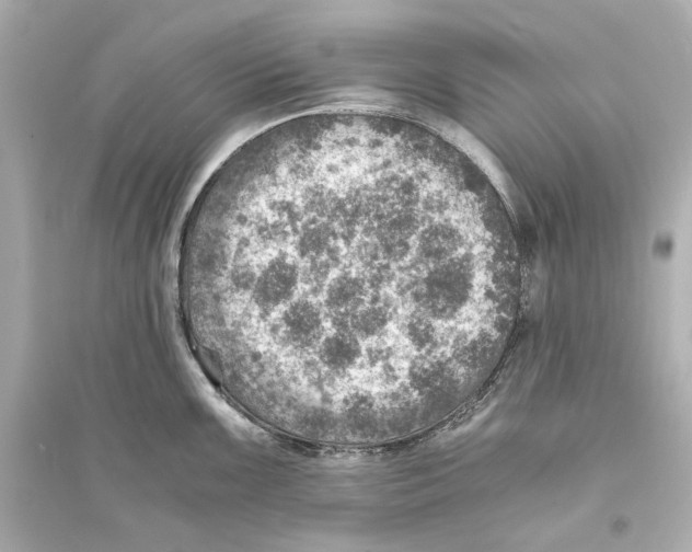 X0000093731099200711131032