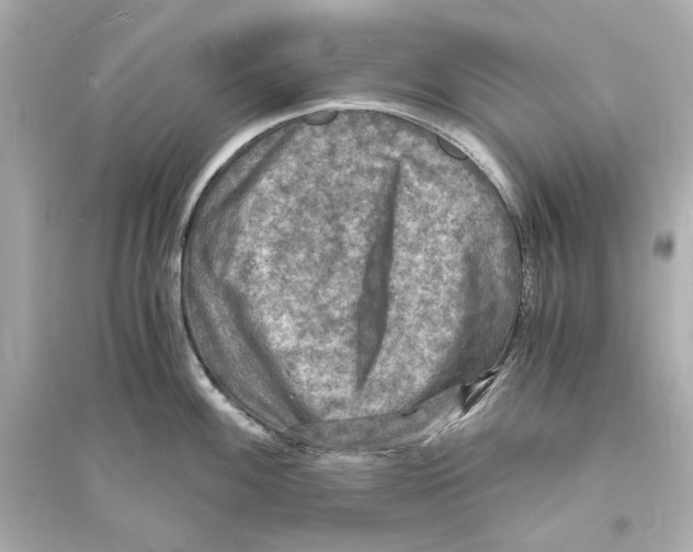 X0000093731100200711131031