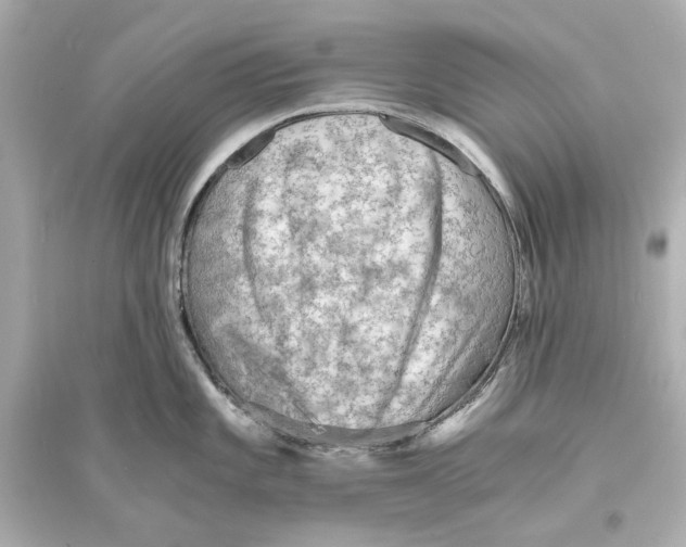 X0000093731101200711131031