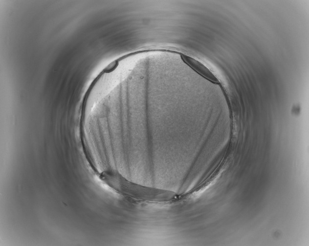 X0000093731102200711131031