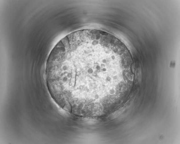 X0000093731103200711131031