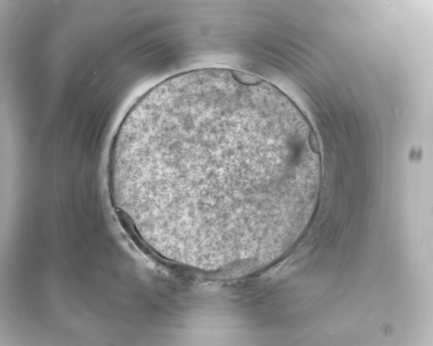 X0000093731104200711131031