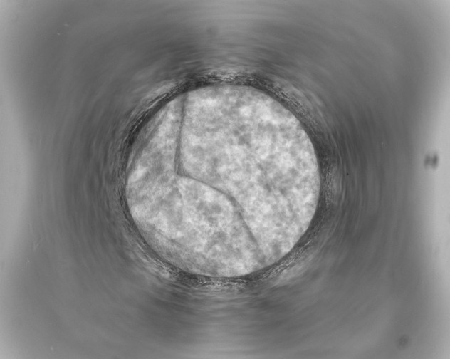 X0000093731105200711131031