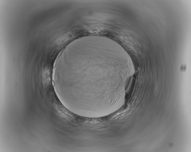 X0000093731106200711131031