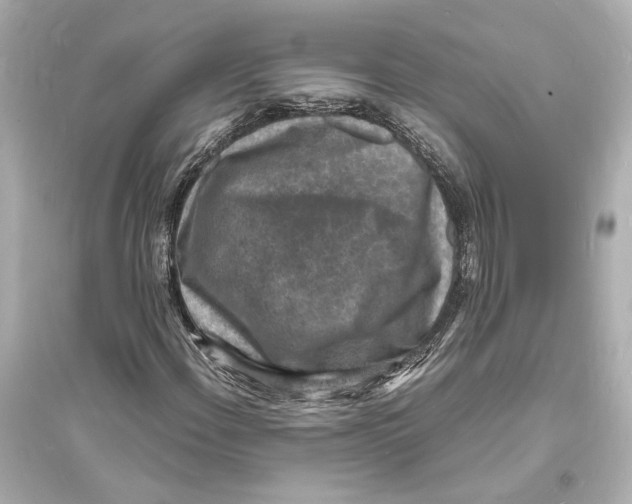 X0000093731108200711131031