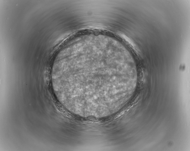 X0000093731110200711131031