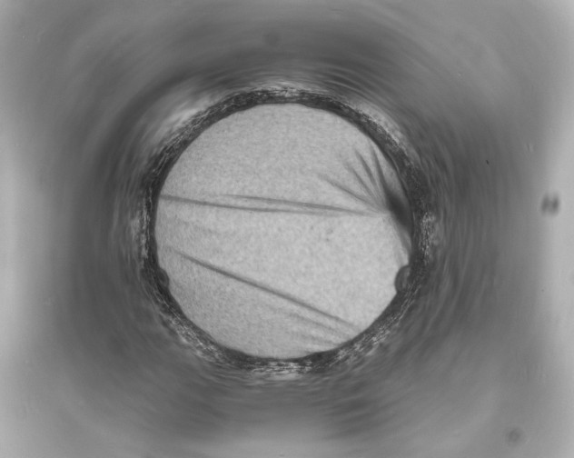 X0000093731111200711131031