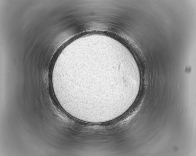 X0000093731113200711131031