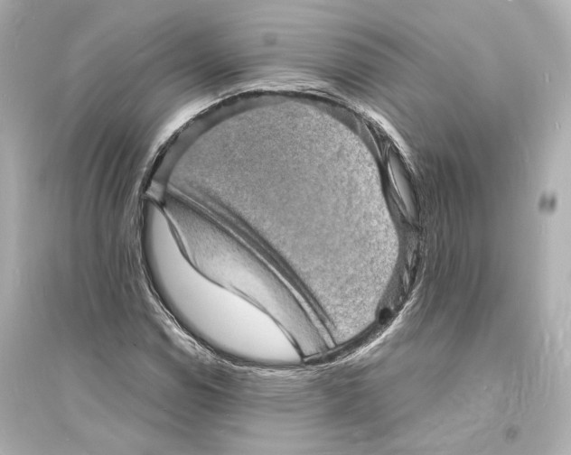 X0000093731114200711131031