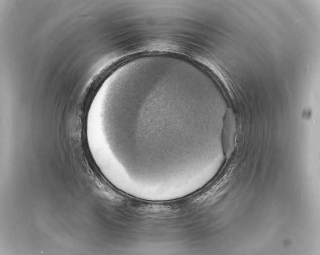 X0000093731115200711131031
