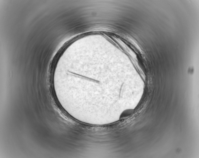 X0000093731116200711131031