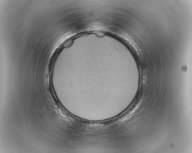 X0000093731117200711131031