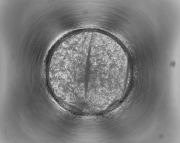 X0000093731118200711131031