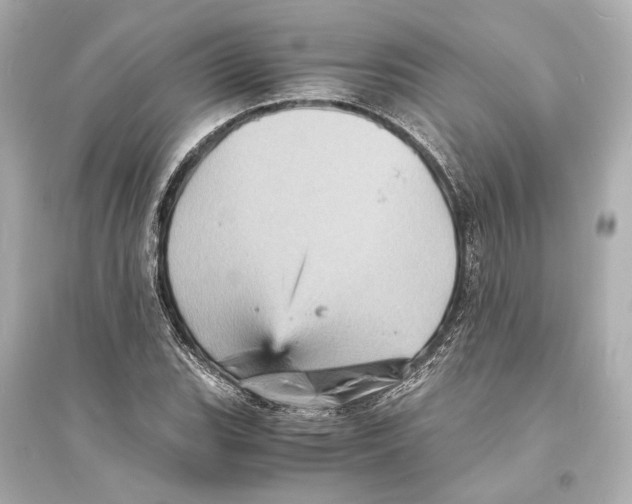 X0000093731119200711131031