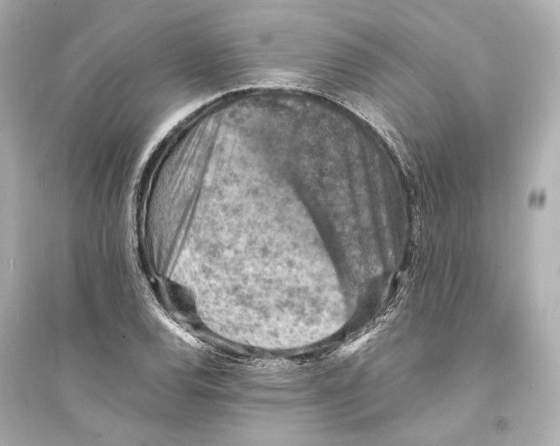 X0000093731120200711131031