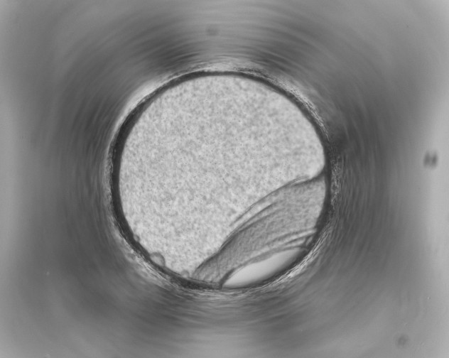 X0000093731122200711131031