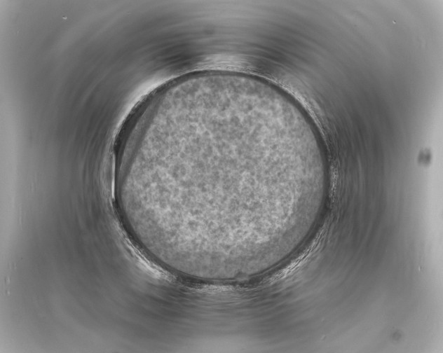 X0000093731123200711131031