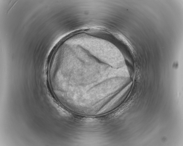 X0000093731124200711131031