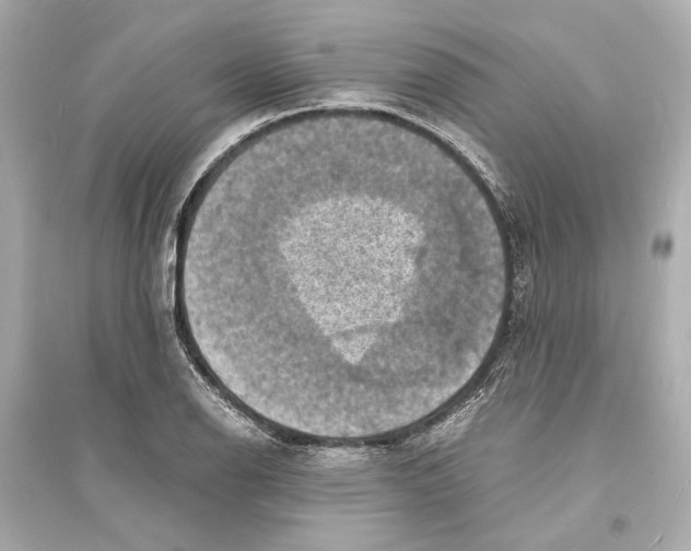 X0000093731126200711131031