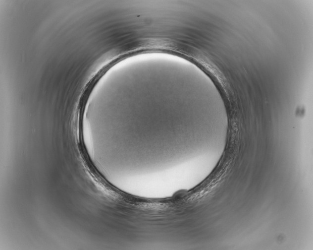 X0000093731127200711131031