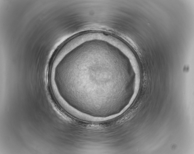 X0000093731128200711131031