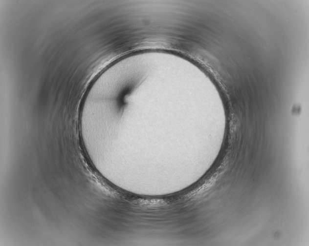 X0000093731129200711131031