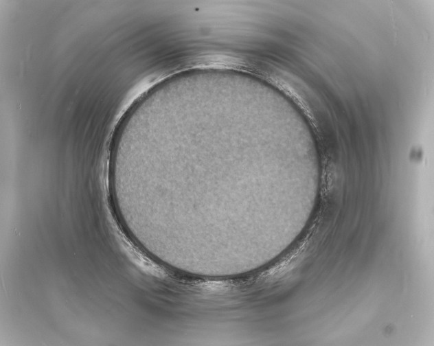 X0000093731130200711131031