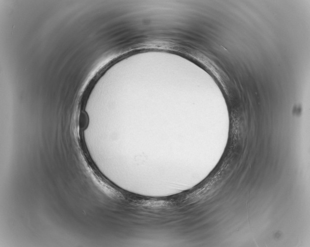 X0000093731131200711131031