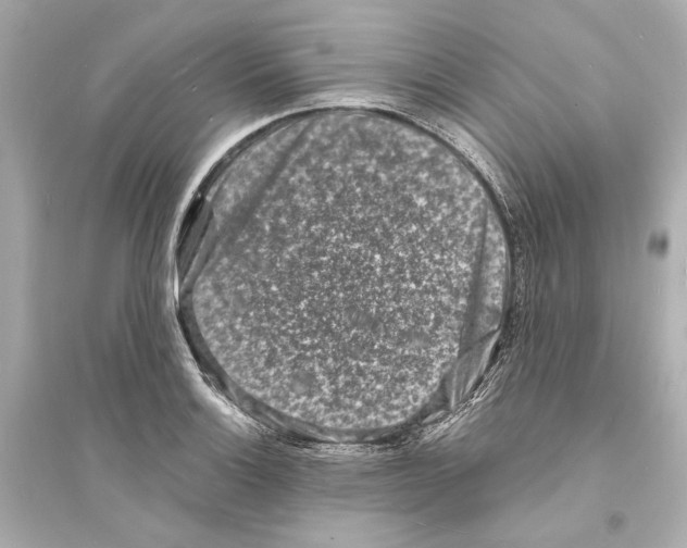 X0000093731132200711131031