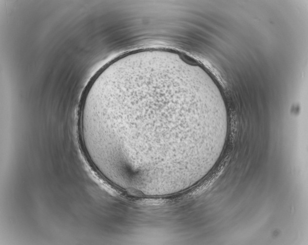 X0000093731134200711131031
