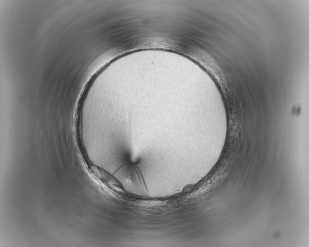 X0000093731135200711131031