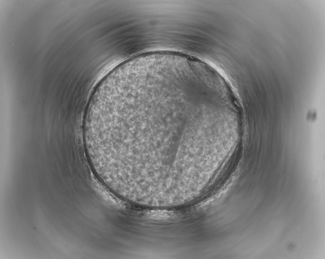 X0000093731137200711131031