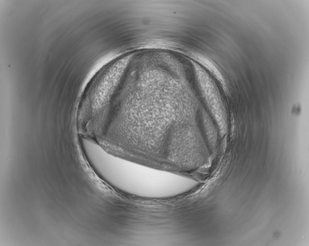 X0000093731138200711131031