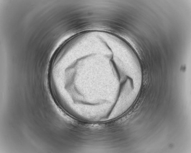 X0000093731139200711131031